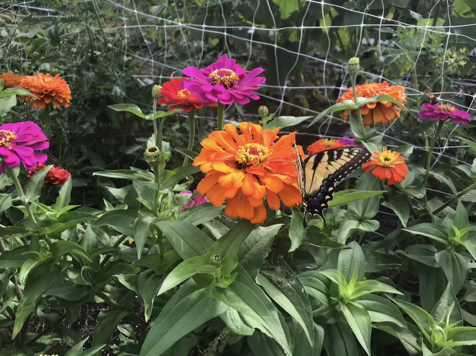 Benevolence Farm photo 15