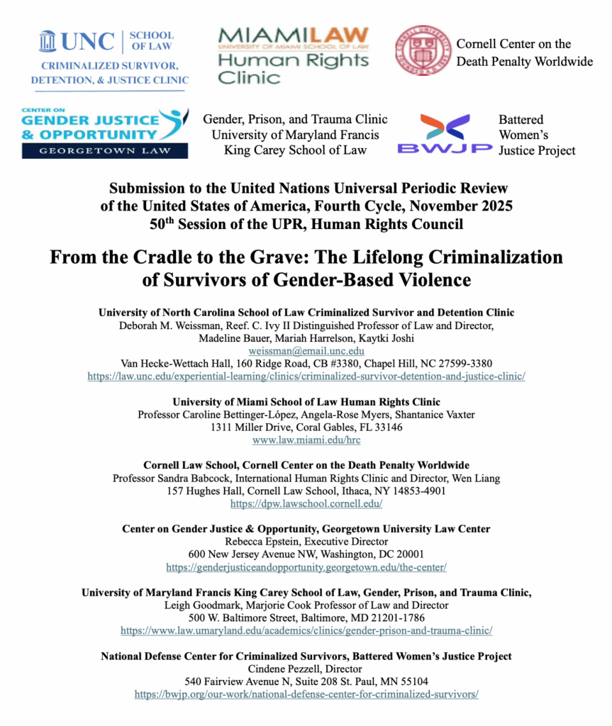 A screenshot of a United Nations submission titled "From the Cradle to the Grave: The Lifelong Criminalization of Survivors of Gender-Based Violence"